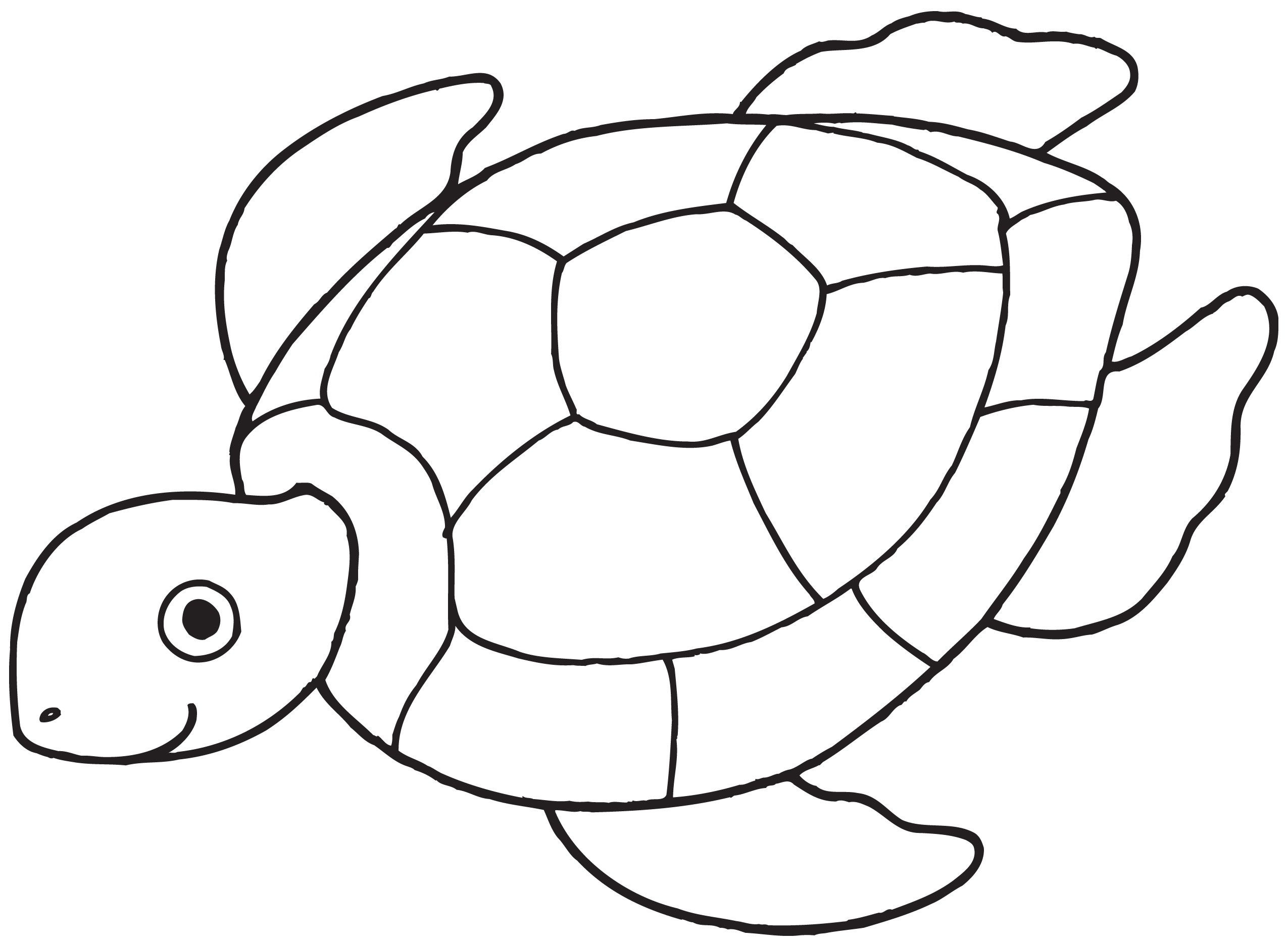 Sea Turtle Coloring Pages Printable
 Sea Turtle Coloring Pages For Kids With Free Printable For