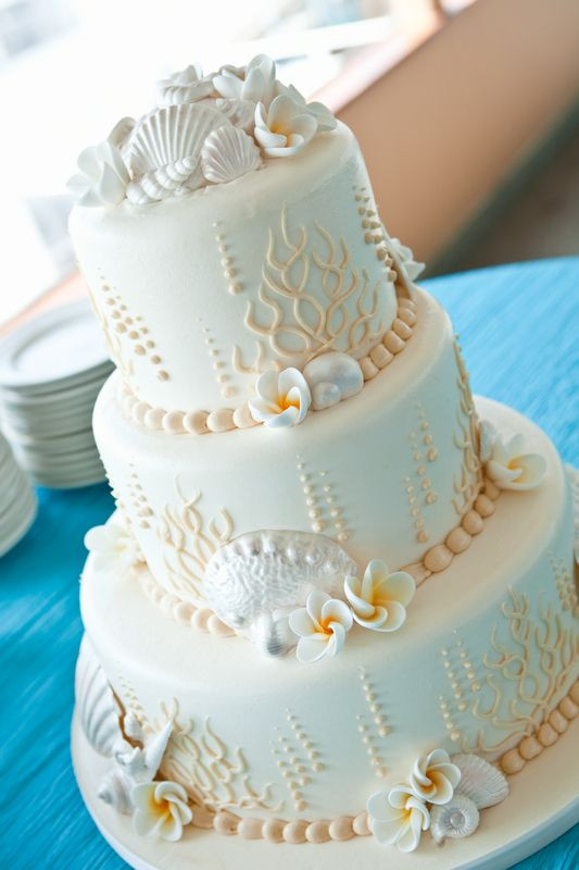 Seashell Wedding Cakes
 Concertina Press Stationery and Invitations 5 Seashell