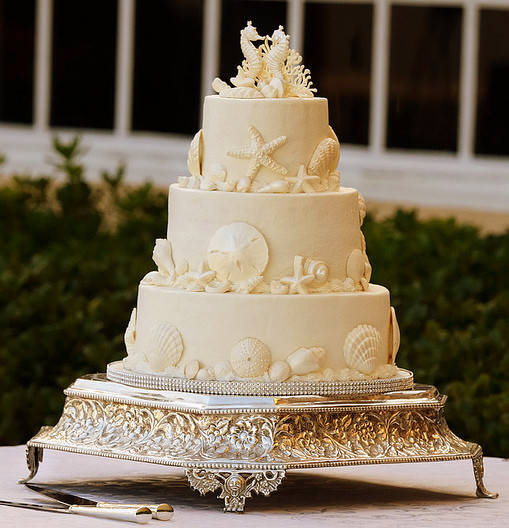 Seashell Wedding Cakes
 seashell wedding cakes
