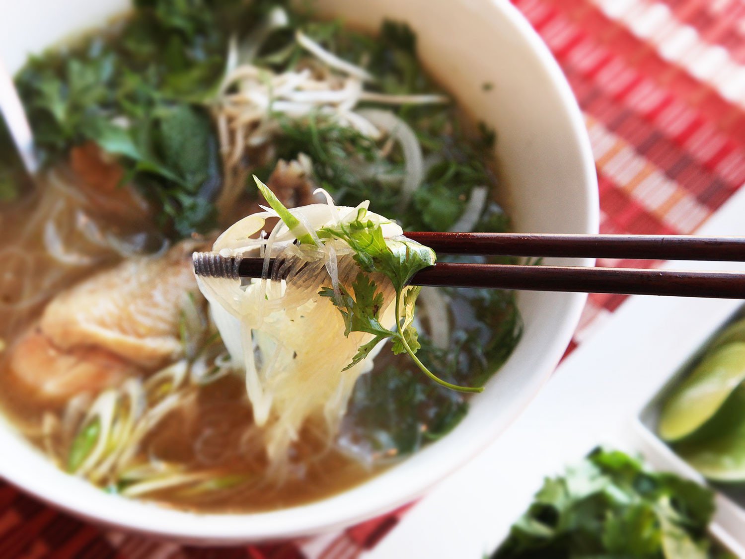 Serious Eats Chicken Soup
 Use the Pressure Cooker to Make Full Flavored Pho Ga