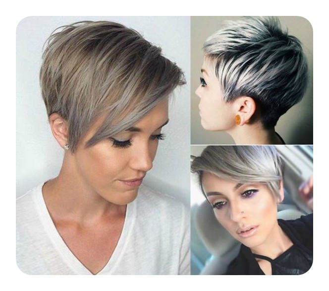 Short And Long Hairstyles
 104 Long And Short Grey Hairstyles 2020 Style Easily