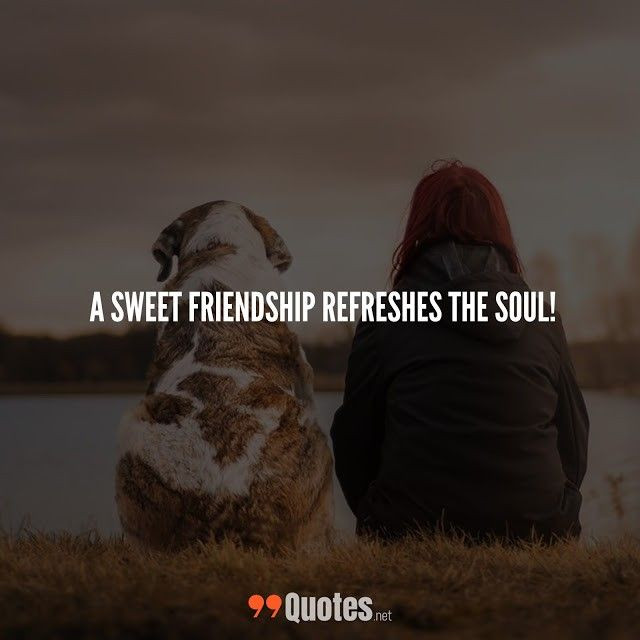 Short And Sweet Friendship Quotes
 Cute Short Friendship Quotes A sweet friendship refreshes