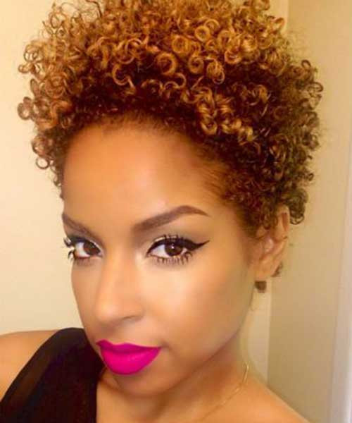 Short Black Curly Hairstyles
 25 Short Curly Afro Hairstyles
