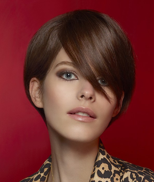 Short Brown Hairstyles
 A Short Brown hairstyle From the The New Winter Collection