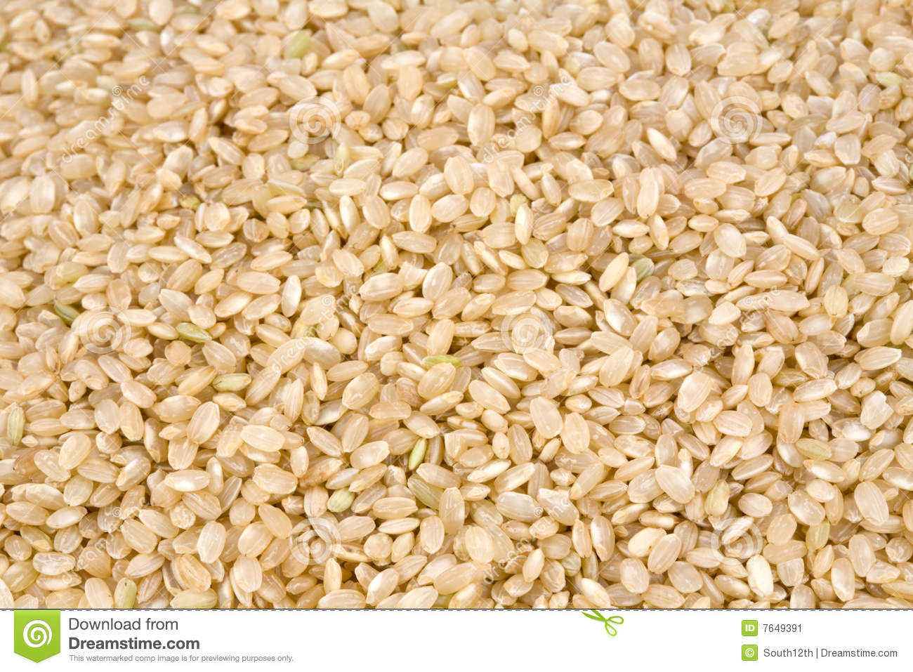 Short Grain Brown Rice Recipe
 Closeup Short Grain Brown Rice Stock Image Image of