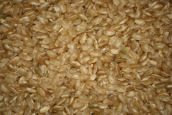 Short Grain Brown Rice Recipe
 Short Grain Brown Rice Texture Picture