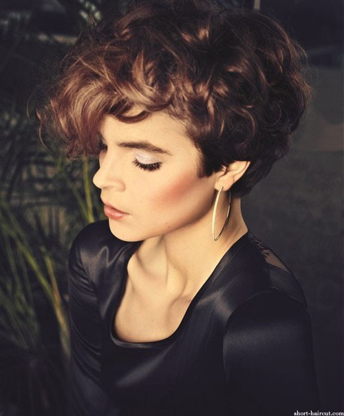 Short Haircuts For Curly Hair Women
 Short Curly Hairstyles