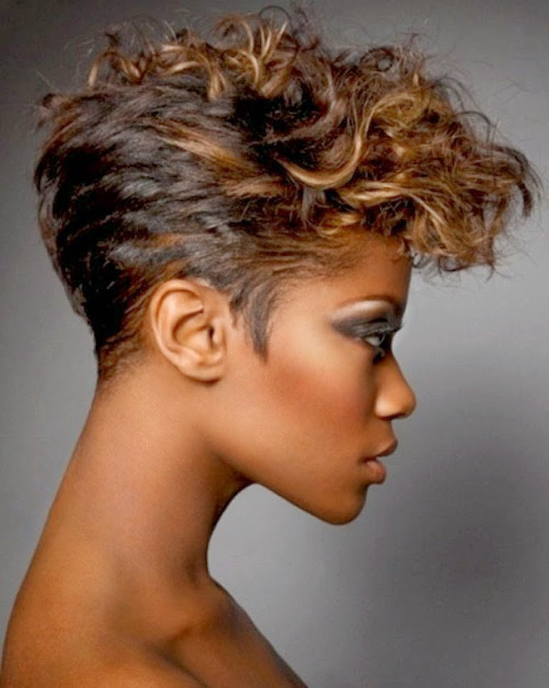 Short Haircuts For Curly Hair Women
 African American Hairstyles Trends and Ideas Curly Short