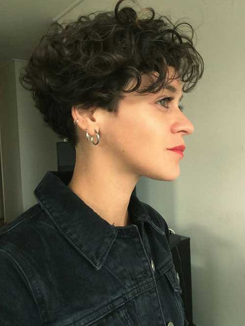 Short Haircuts For Curly Hair Women
 Different Curly Short Hairstyles