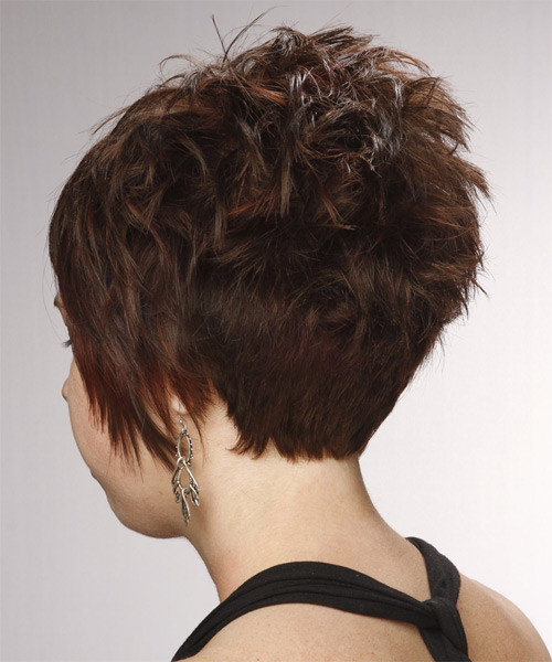 Short Hairstyles Back View
 Short Straight Formal Layered Pixie Hairstyle with Side
