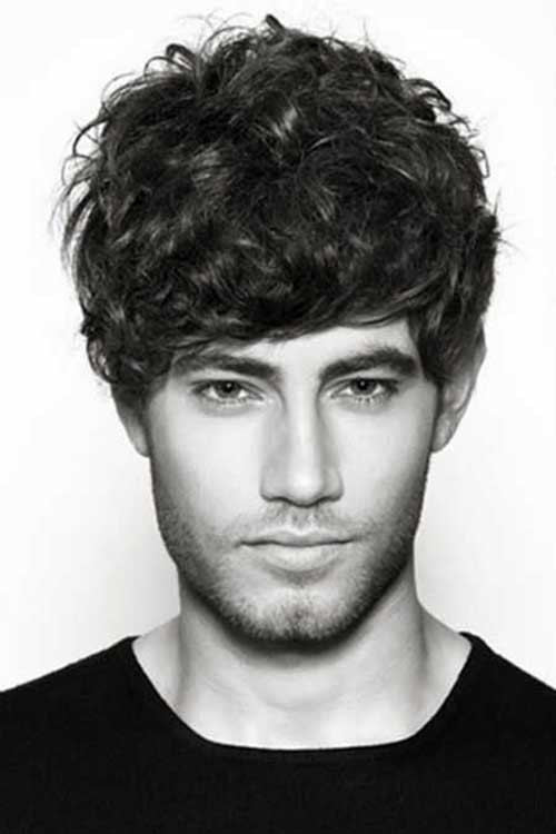Short Hairstyles For Men With Curly Hair
 20 Short Curly Hairstyles for Men