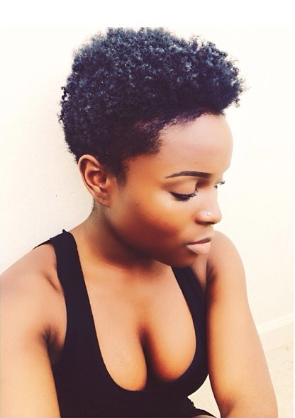 Short Natural Hairstyles 4C
 Paville 4C Natural Hair Style Icon