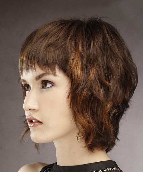 Short Shag Hairstyles
 Short Straight Brunette Shag Hairstyle with Layered Bangs