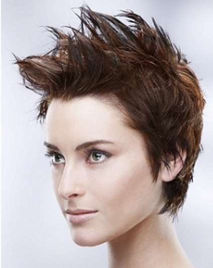 Short Spiky Hairstyles
 Short Hairstyles Short Spiky Hairstyles for Women