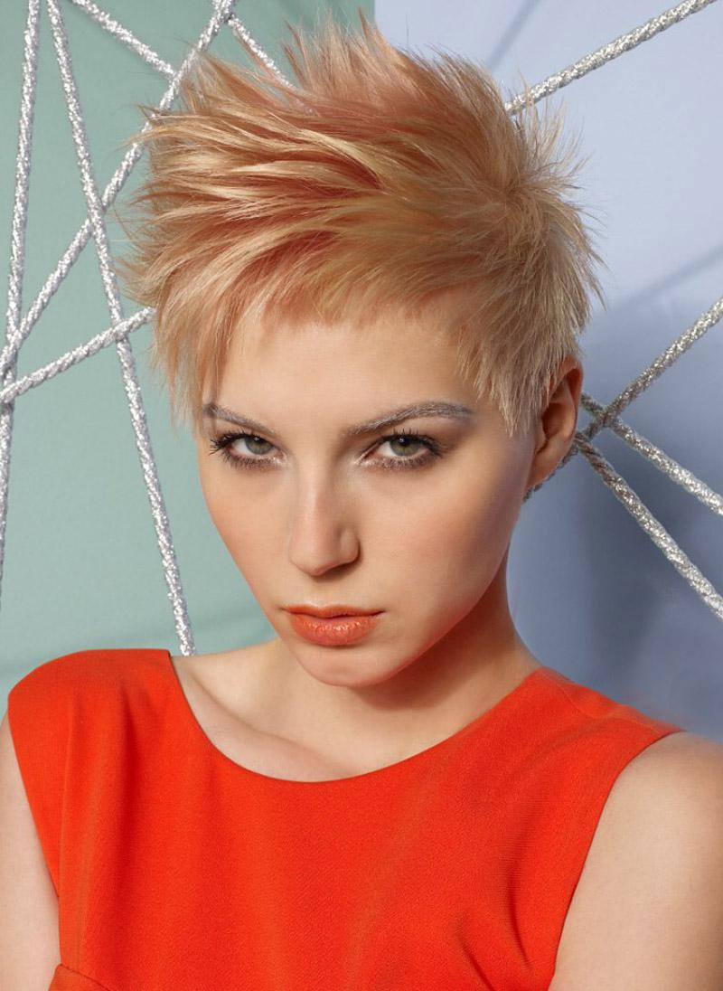Short Spiky Hairstyles
 All Kinds of Spiky Hairstyles For Both Men And Women
