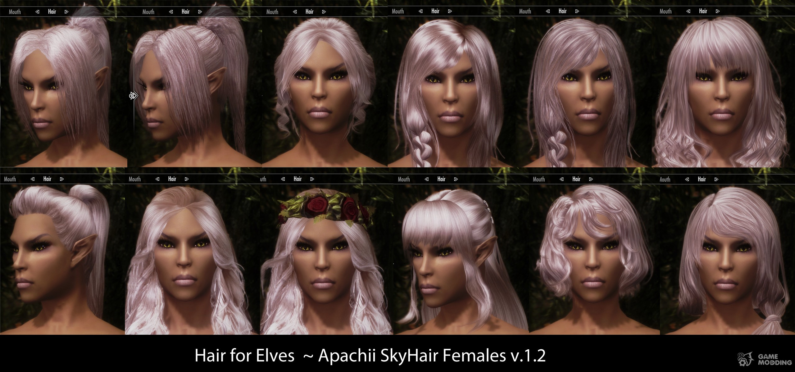 Skyrim Hairstyles Male
 ApachiiSkyHair v1 5 for TES V Skyrim