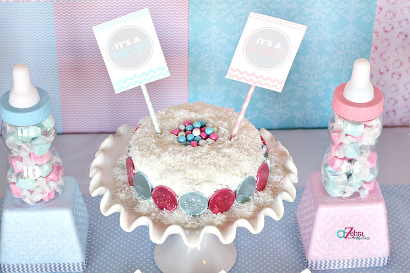 Small Gender Reveal Party Ideas
 Baby Gender Reveal Party Baby Shower Ideas Themes Games