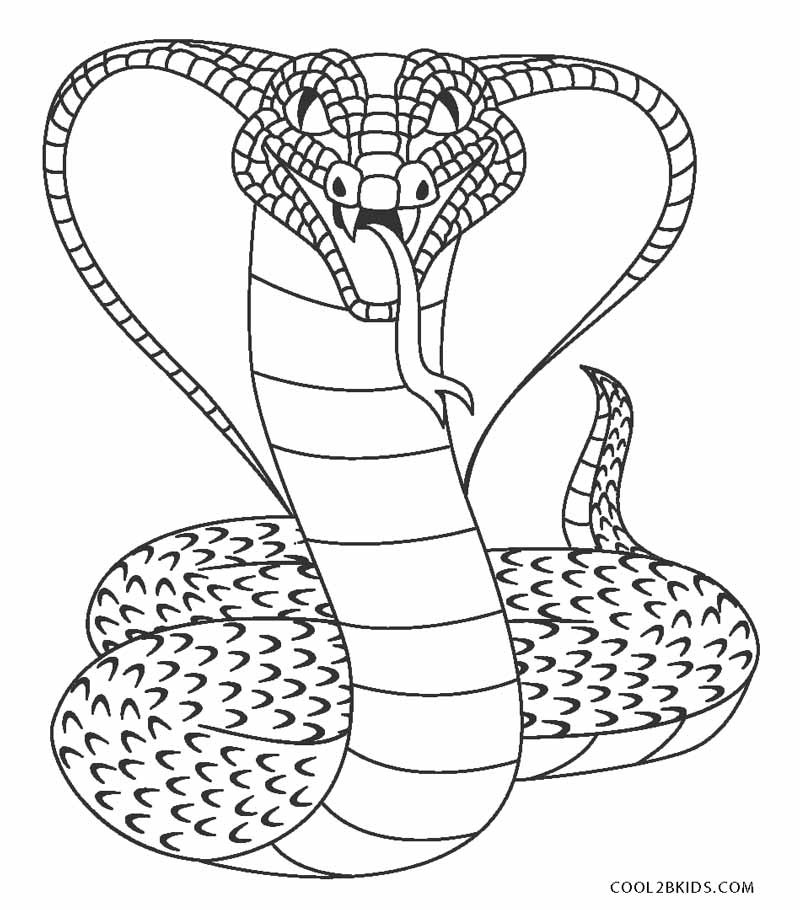 Snake Coloring Pages For Kids
 Free Printable Snake Coloring Pages For Kids