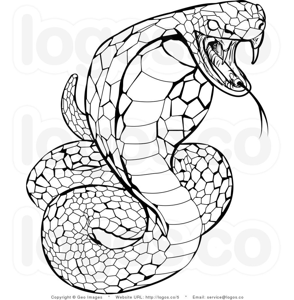 Snake Coloring Pages For Kids
 reptiles snakes drawing Leonardo