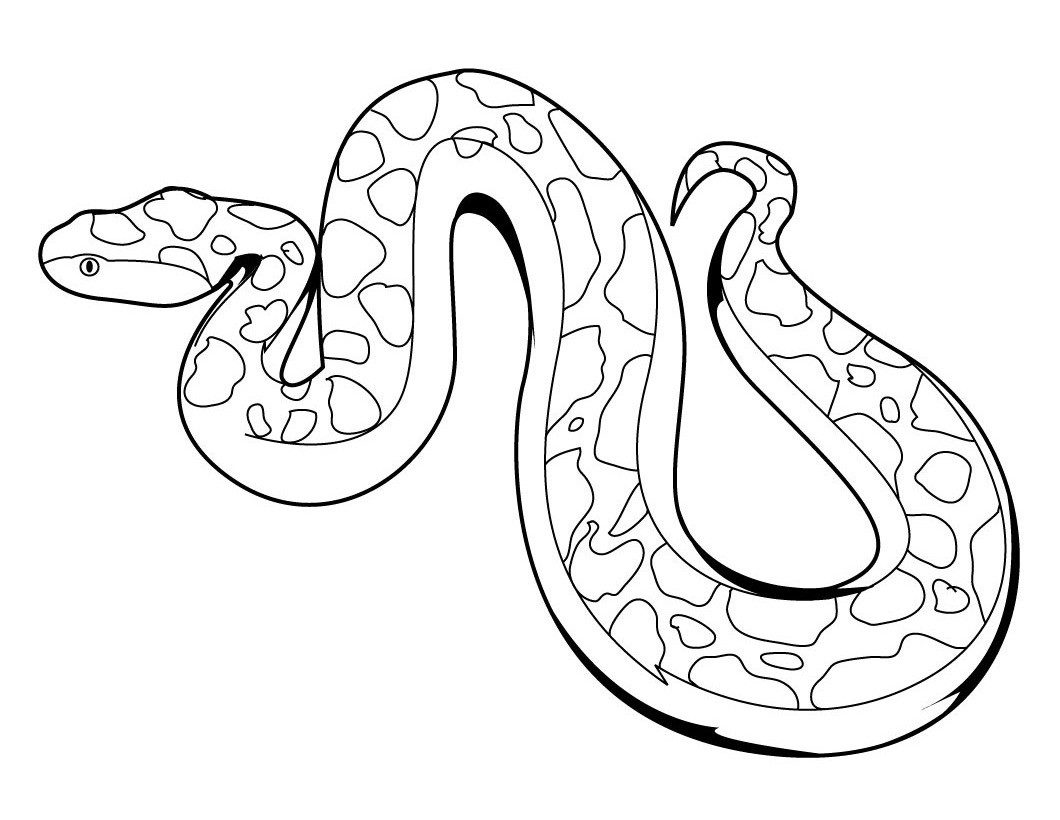 Snake Coloring Pages For Kids
 Free Printable Snake Coloring Pages For Kids