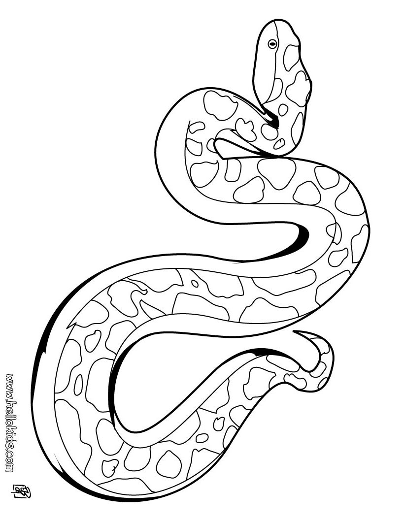 Snake Coloring Pages For Kids
 Snake coloring pages Hellokids