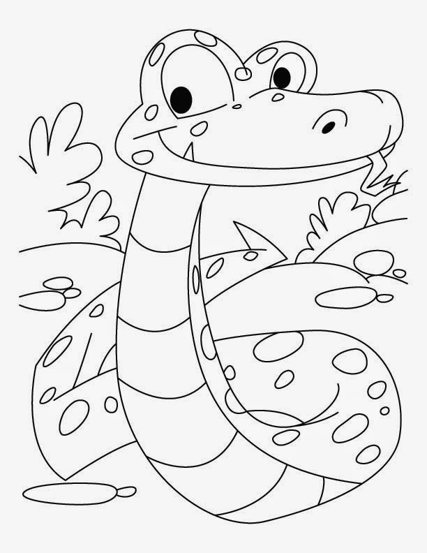 Snake Coloring Pages For Kids
 Kids Page Snake Coloring Pages for Kids 4