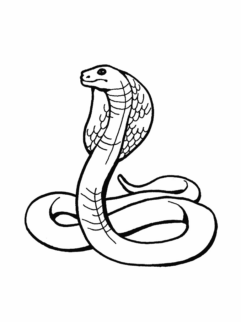 Snake Coloring Pages For Kids
 Snake Coloring Pages Free For Children