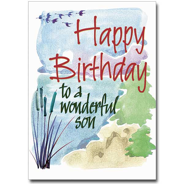 Son Birthday Cards
 Happy Birthday to a Wonderful Son Birthday Card
