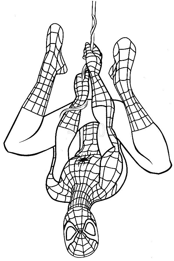 Spiderman Coloring Pages Printable
 Spiderman Coloring Pages