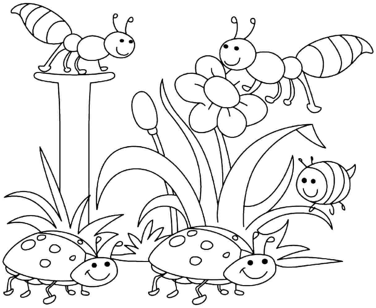 Spring Coloring Pages Free Printable
 Printable Coloring pages spring spring coloring