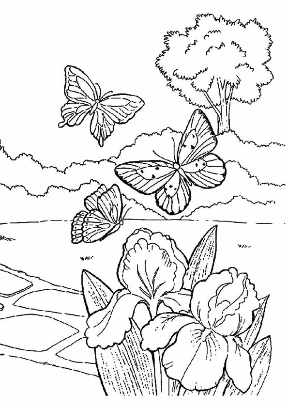 Spring Coloring Pages Free Printable
 Spring Coloring Pages Best Coloring Pages For Kids