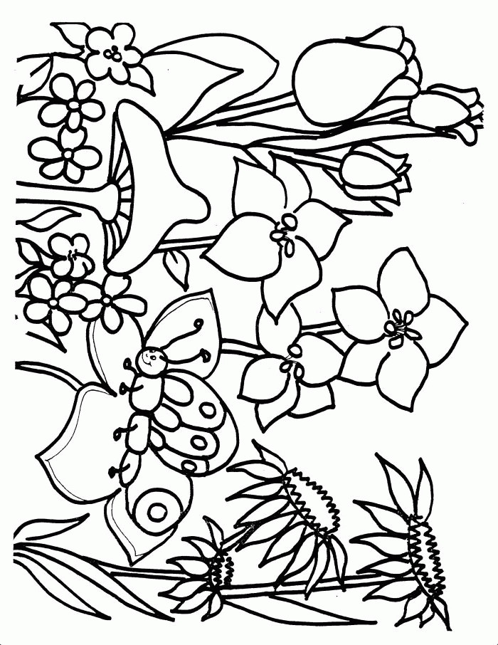 Spring Coloring Pages Free Printable
 flower Page Printable Coloring Sheets