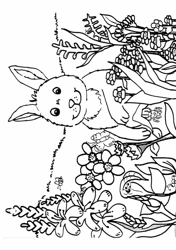 Spring Coloring Sheets For Kids
 Spring Coloring Pages Best Coloring Pages For Kids