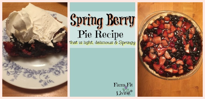 Spring Pie Recipes
 Spring Berry Pie Recipe for Anytime of the Year
