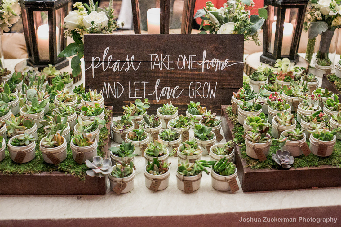 Succulents Wedding Favors
 Fabulous Wedding Favors For Eco Friendly Couples Our