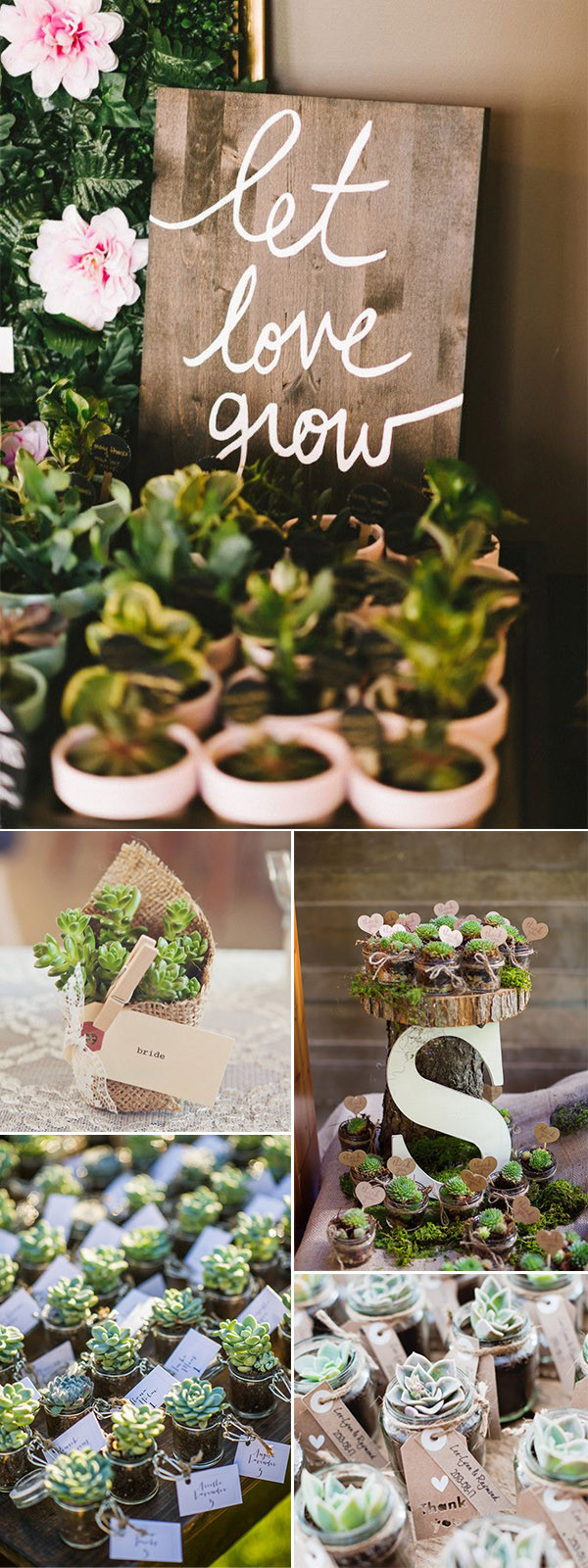 Succulents Wedding Favors
 46 Best Ideas to Incorporate Succulents into Your Weddings