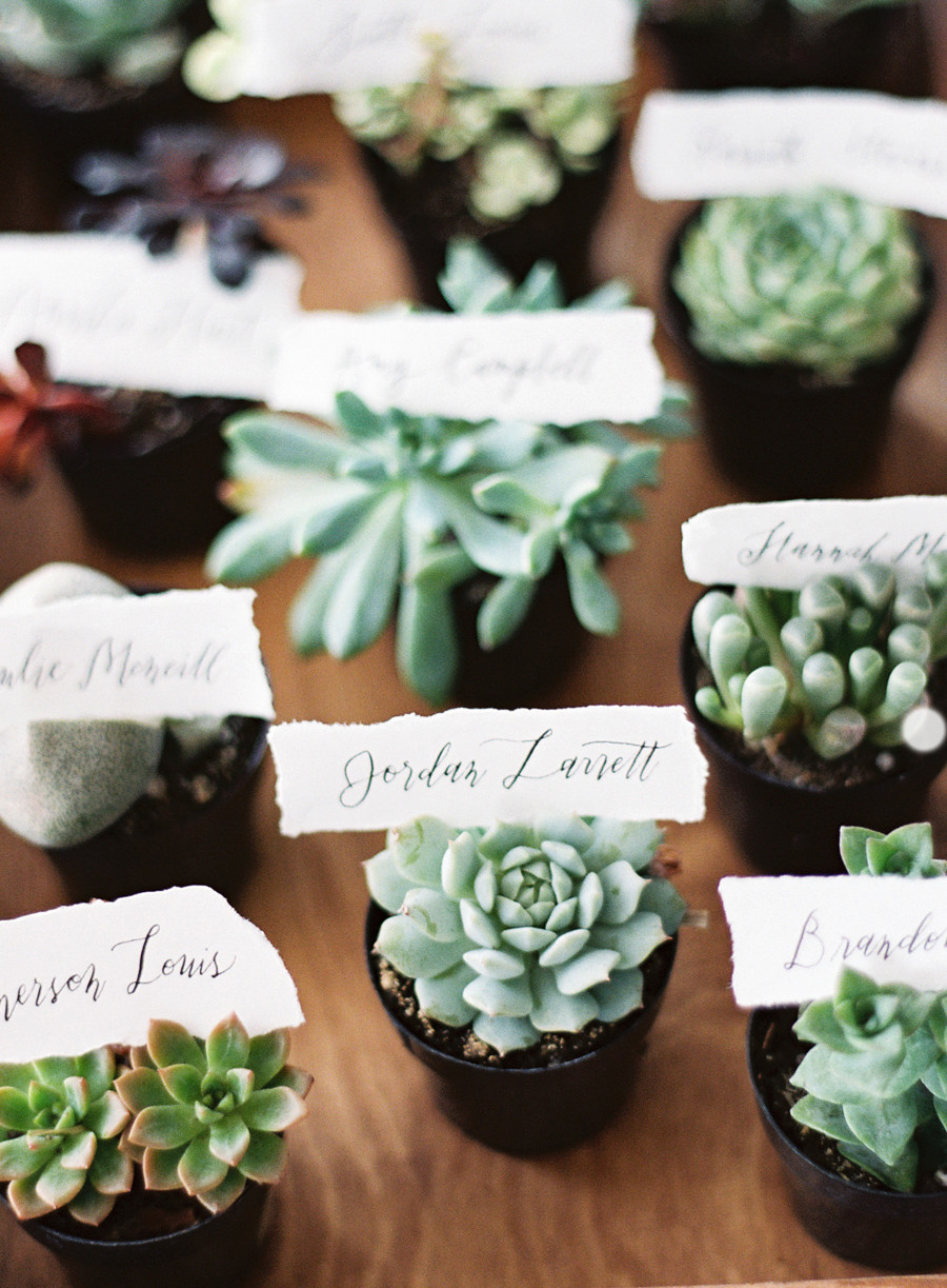 Succulents Wedding Favors
 Unexpected Ways to Use Succulents as Part of Your Wedding