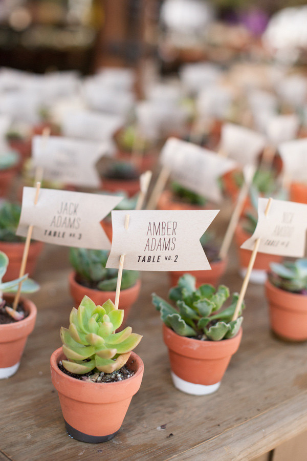 Succulents Wedding Favors
 35 Succulent Wedding Ideas for Your Big Day