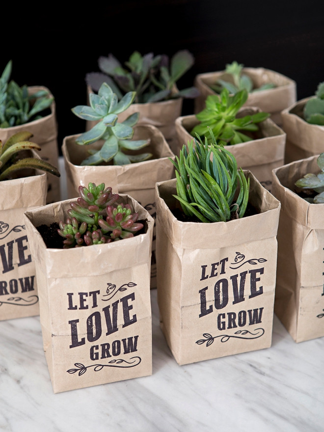 Succulents Wedding Favors
 OMG These DIY "Let Love Grow" Succulent Wedding Favors