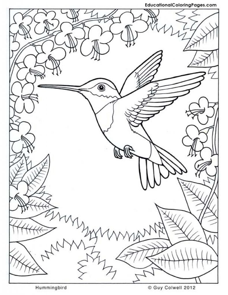 Summer Coloring Pages For Older Kids
 Coloring Pages Difficult Coloring Pages For Older Kids