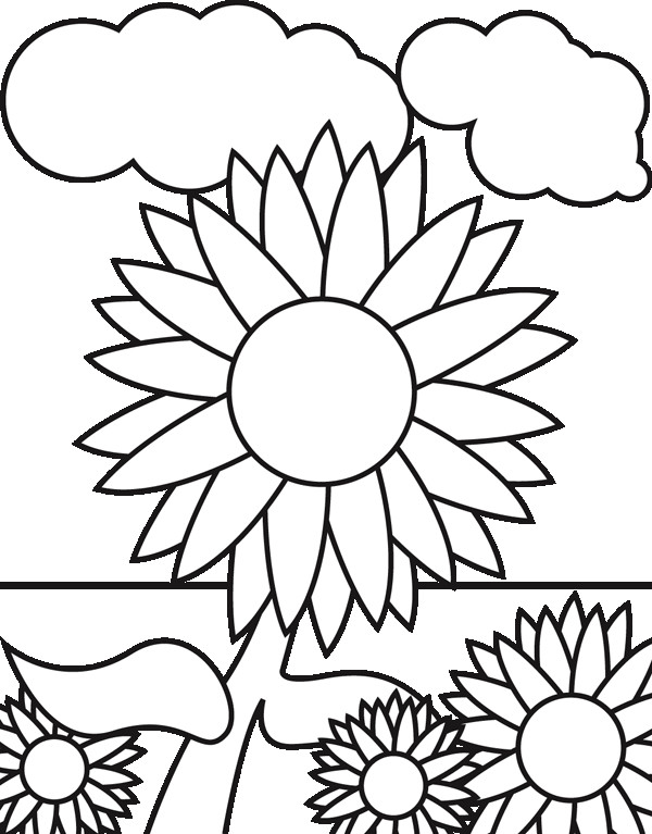 Sunflower Coloring Pages Printable
 Sunflower Coloring Page