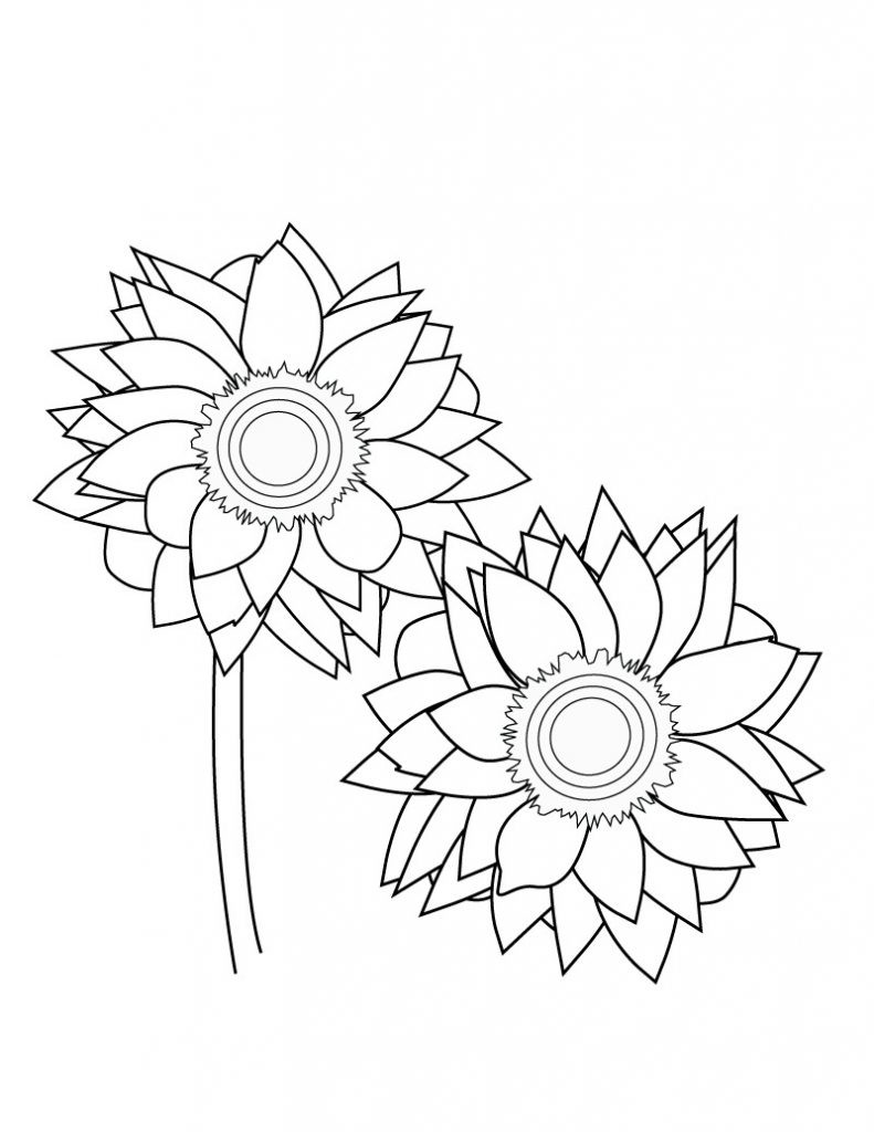 Sunflower Coloring Pages Printable
 Free Printable Sunflower Coloring Pages For Kids