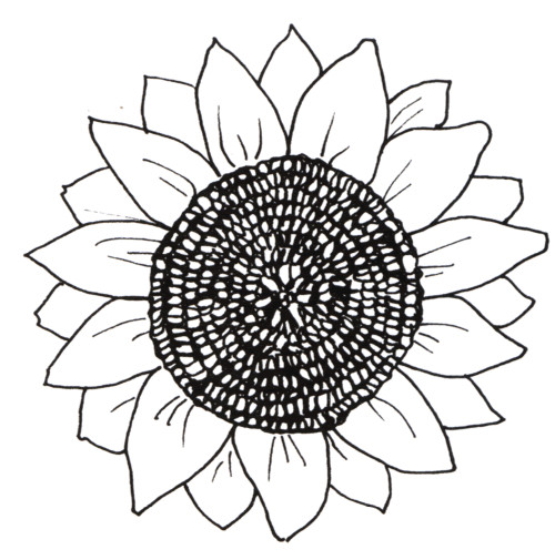 Sunflower Coloring Pages Printable
 Free Coloring Pages Printable Sunflower Coloring Pages