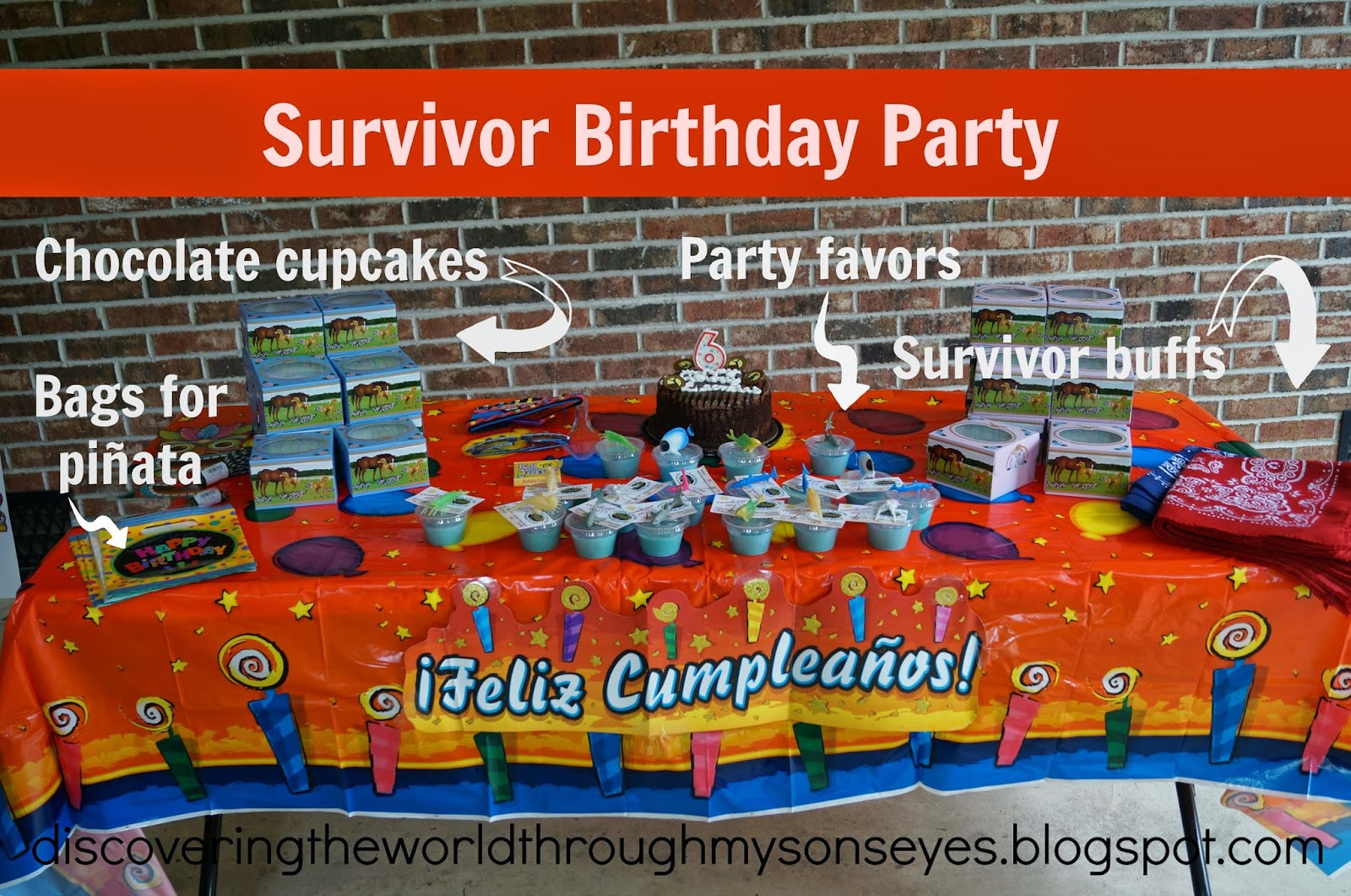 Survivor Birthday Party
 Discovering the World Through My Son s Eyes Kids