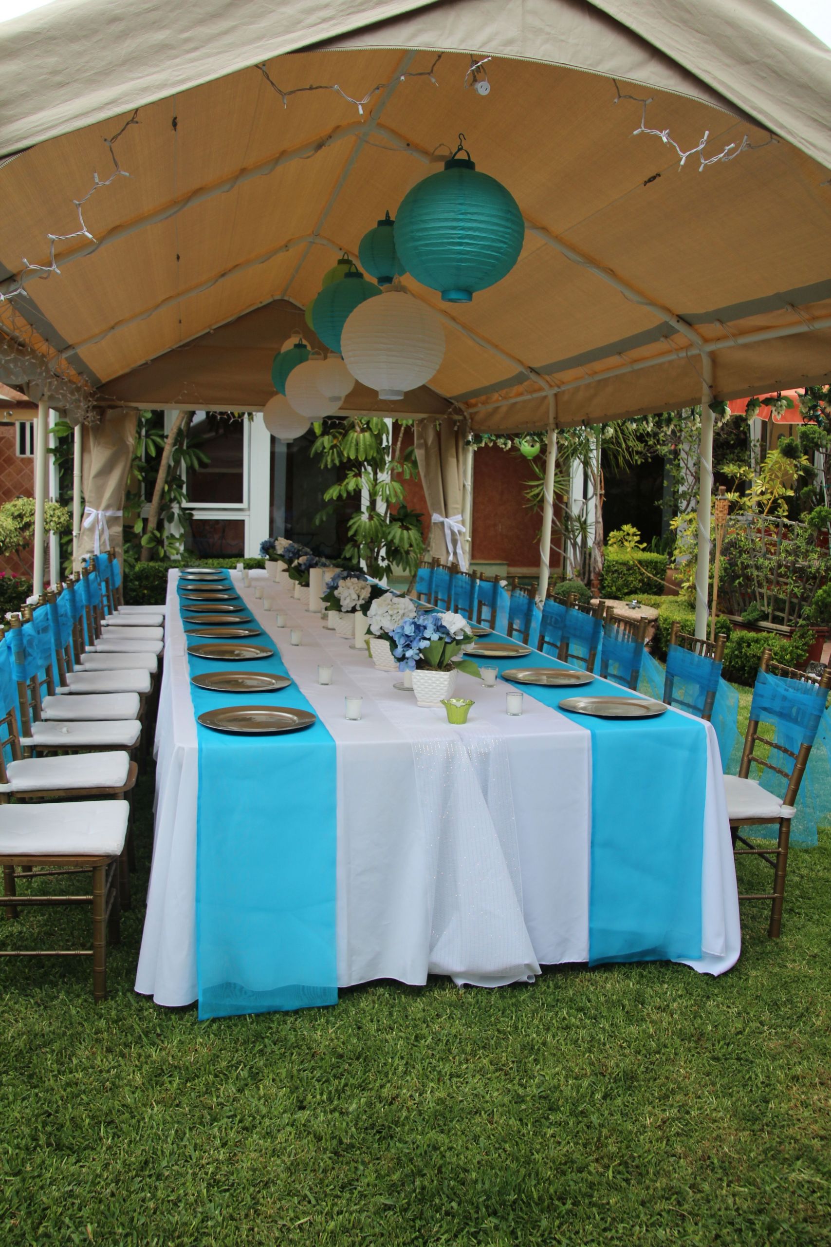 Top 23 Sweet 16 Backyard Party Ideas Home Family Style And Art Ideas