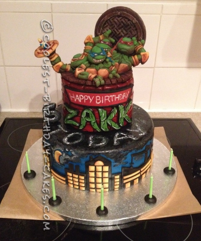 Teenage Mutant Ninja Turtles Birthday Cake
 Amazing Teenage Mutant Ninja Turtles Birthday Cake