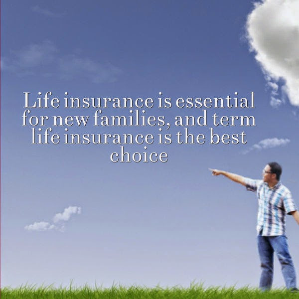 Term Life Quotes
 Best Term Life Insurance Quotes