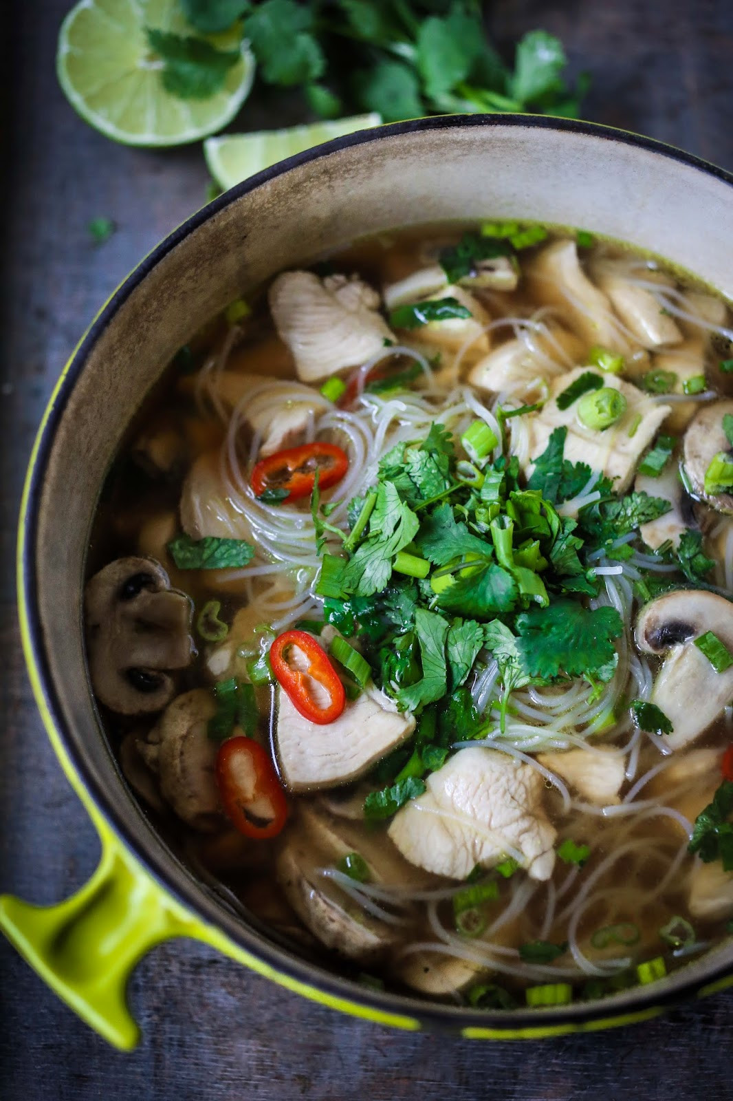 Thai Chicken Noodle Soup Recipes
 Thai Chicken Noodle Soup Recipe — Dishmaps