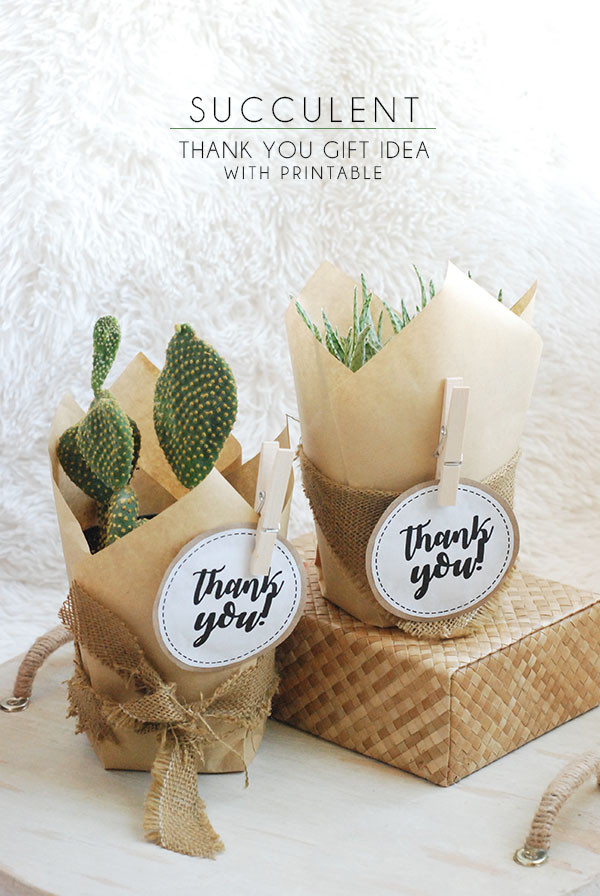 Thank U Gift Ideas
 Succulent Thank You Gift Idea With Free Printable Tag