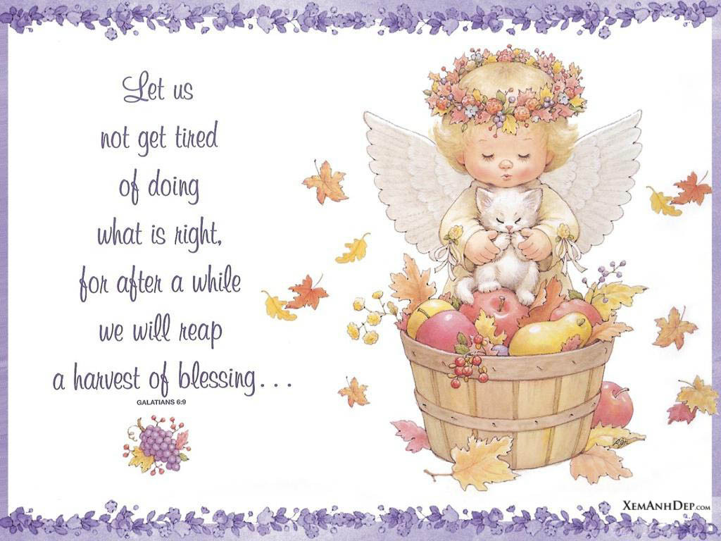 Thanksgiving Quotes Baby
 Angel Cute little angel pictures